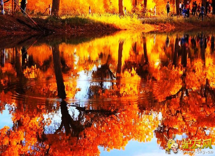       ��ɫ������